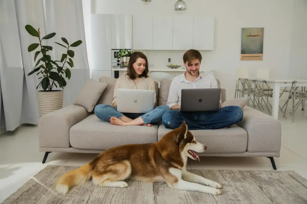 Das Bild zeigt zwei Menschen mit zwei Laptops auf dem Schoß während der Wohnungssuche. Vor Ihnen liegt ein Hund.